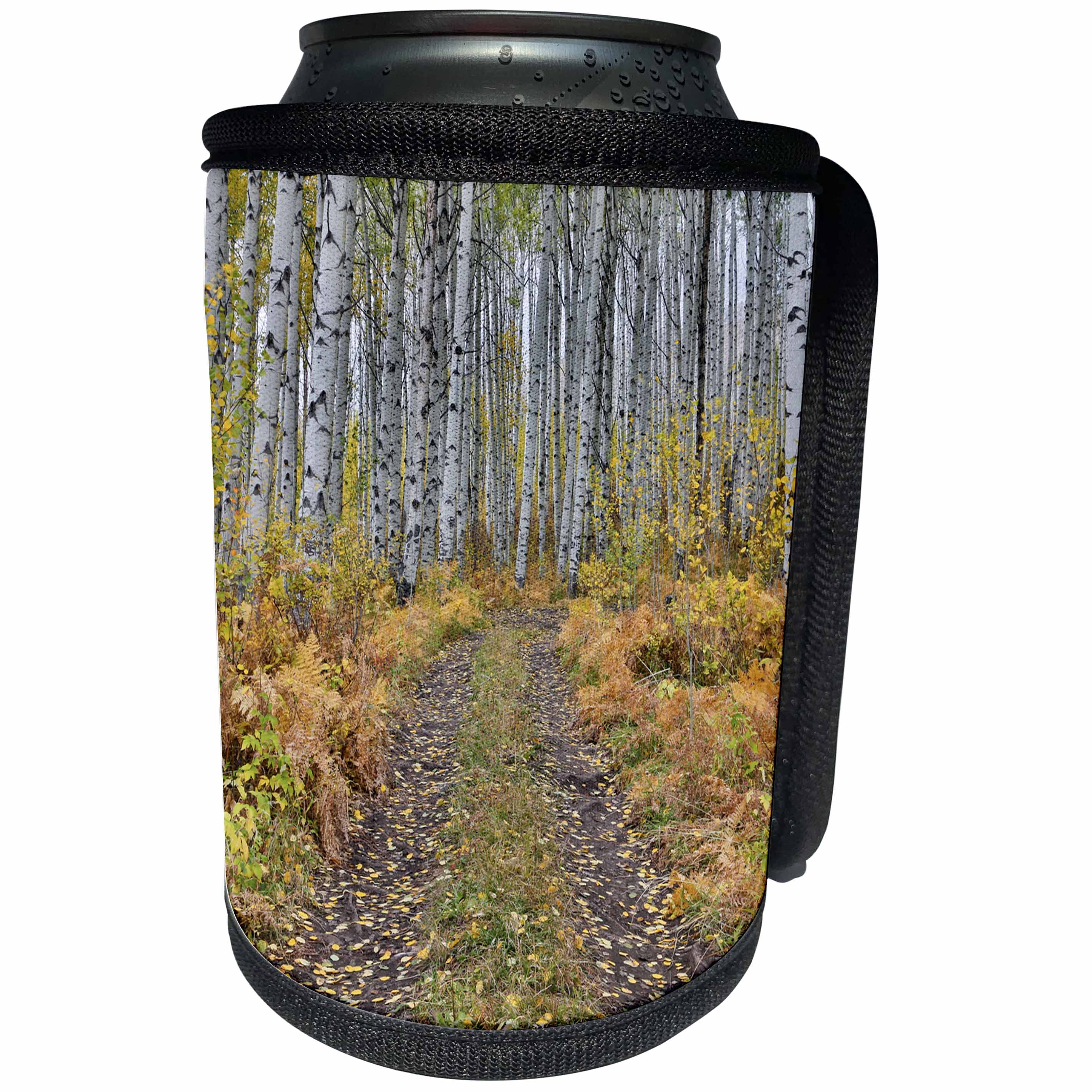 3dRose Danita Delimont - Roads - McClure Pass, Colorado with trail in grove of aspen trees. - Can Cooler Bottle Wrap (cc_278800)
