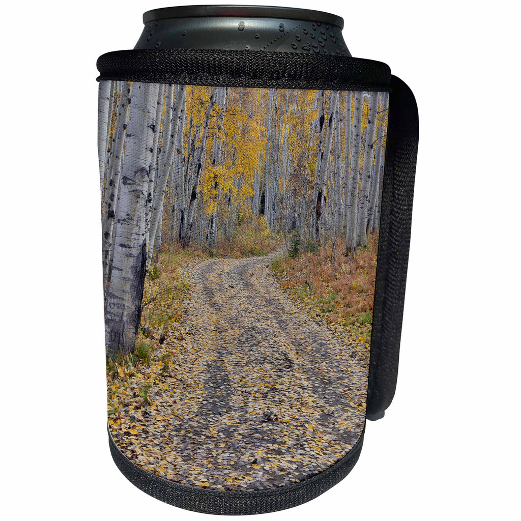 3dRose Danita Delimont - Roads - Fallen Aspen Leaves in Fall Keebler Pass, Colorado on Dirt Road. - Can Cooler Bottle Wrap (cc_278804)