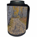3dRose Danita Delimont - Roads - Fallen Aspen Leaves in Fall Keebler Pass, Colorado on Dirt Road. - Can Cooler Bottle Wrap (cc_278804)