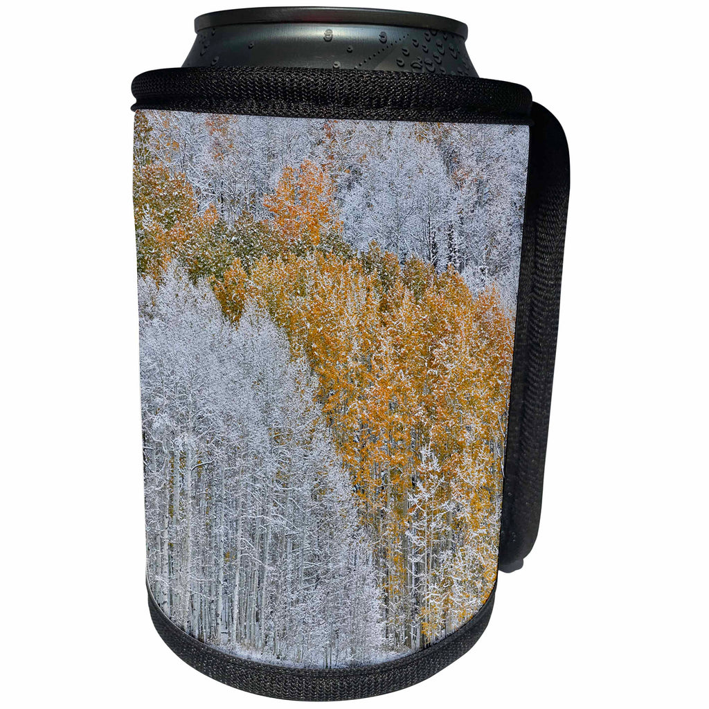 3dRose Danita Delimont - Forests - Keebler Pass, Rocky Mts, Colorado. Fall Colors of Aspens and snow. - Can Cooler Bottle Wrap (cc_278814)