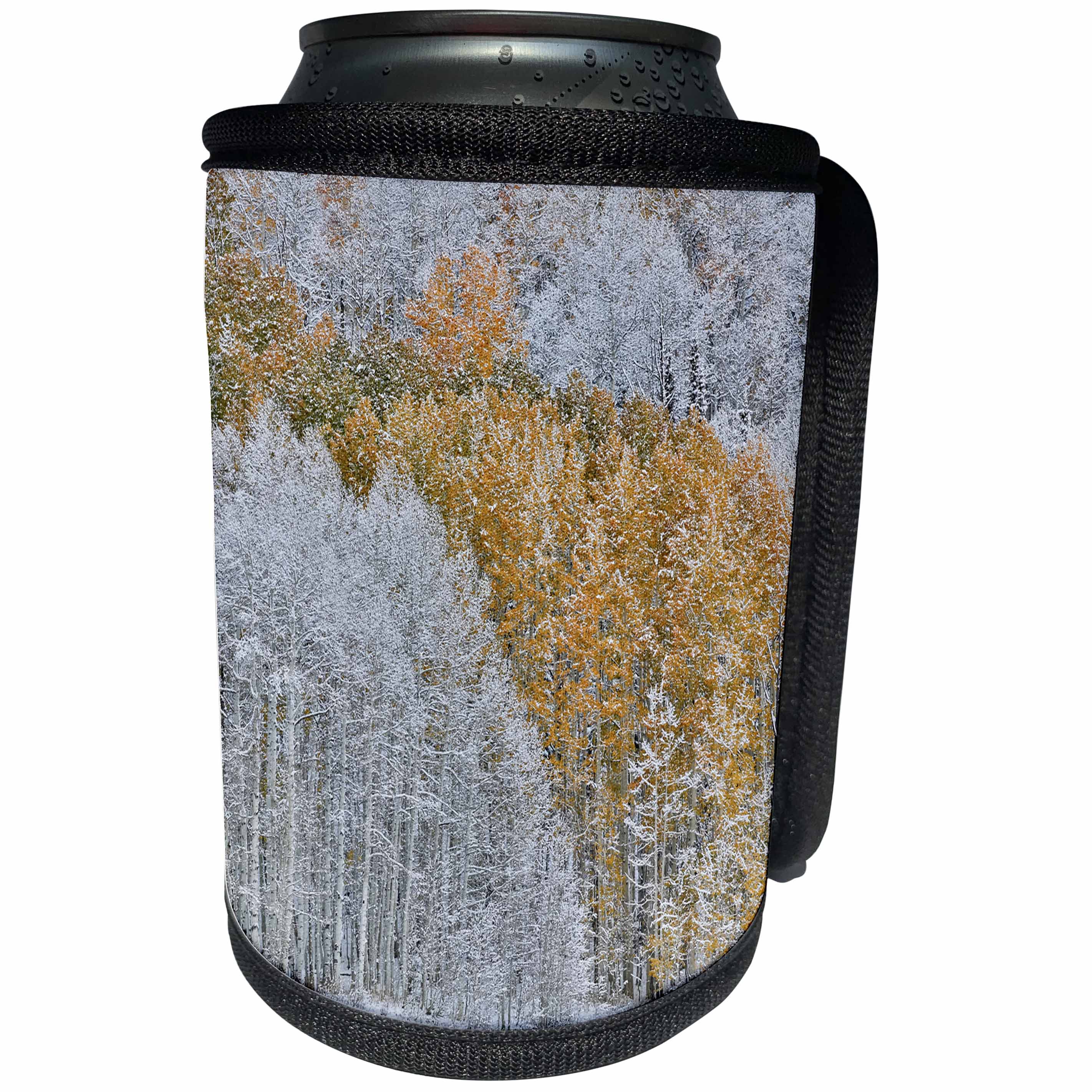 3dRose Danita Delimont - Forests - Keebler Pass, Rocky Mts, Colorado. Fall Colors of Aspens and snow. - Can Cooler Bottle Wrap (cc_278814)