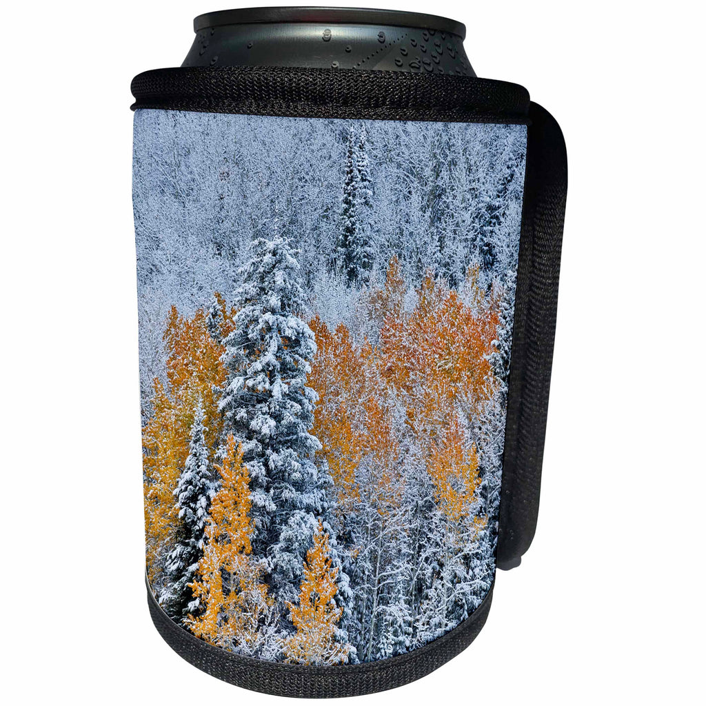 3dRose Danita Delimont - Forests - Keebler Pass, Rocky Mountains, Colorado. Autumn landscape with snow. - Can Cooler Bottle Wrap (cc_278815)