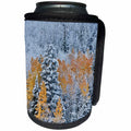 3dRose Danita Delimont - Forests - Keebler Pass, Rocky Mountains, Colorado. Autumn landscape with snow. - Can Cooler Bottle Wrap (cc_278815)