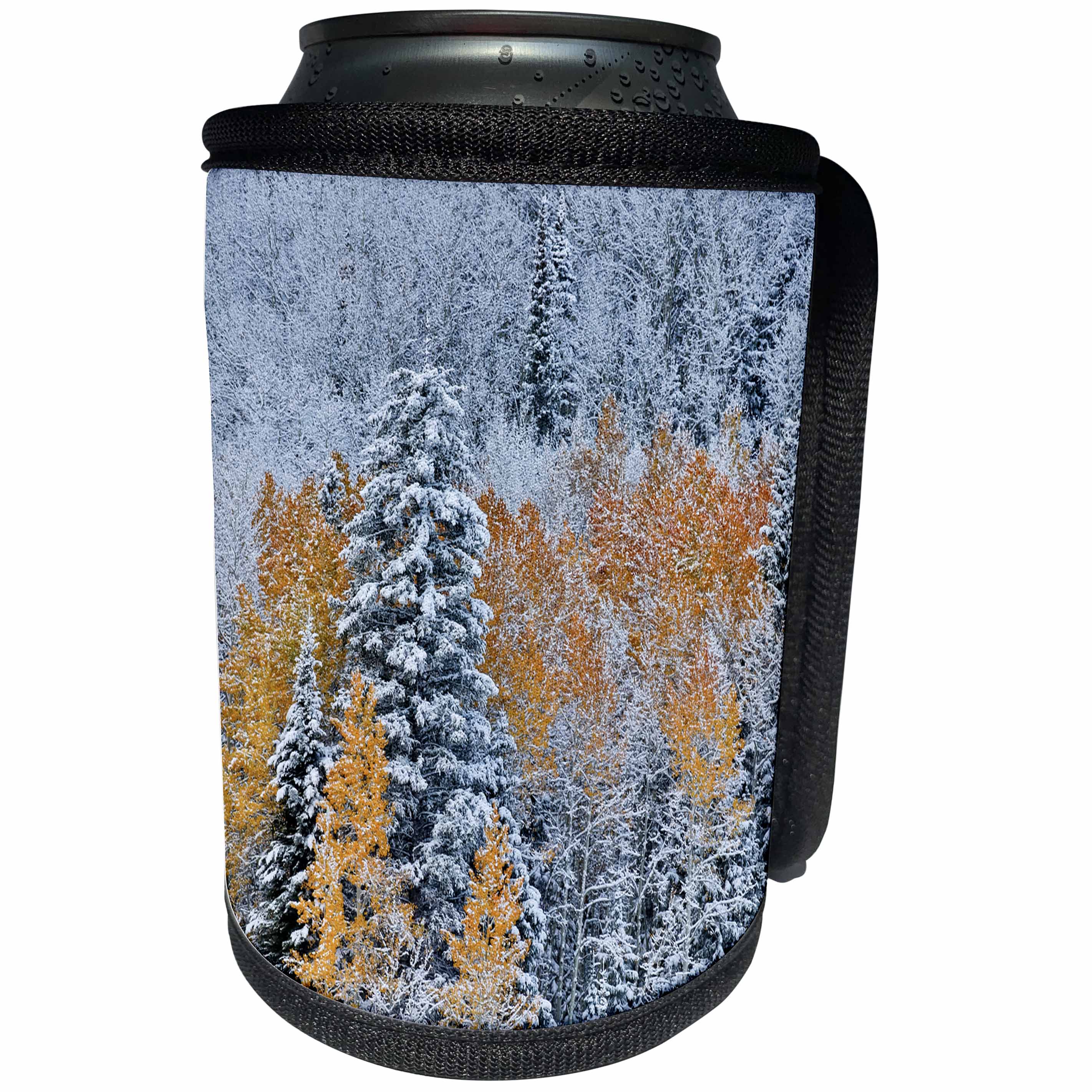 3dRose Danita Delimont - Forests - Keebler Pass, Rocky Mountains, Colorado. Autumn landscape with snow. - Can Cooler Bottle Wrap (cc_278815)