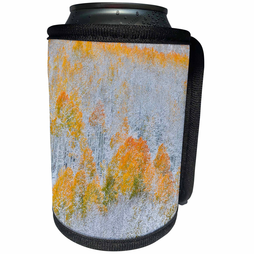 3dRose Danita Delimont - Forests - Rocky Mountains, Colorado. Fall Colors of Aspens and fresh snow. - Can Cooler Bottle Wrap (cc_278818)