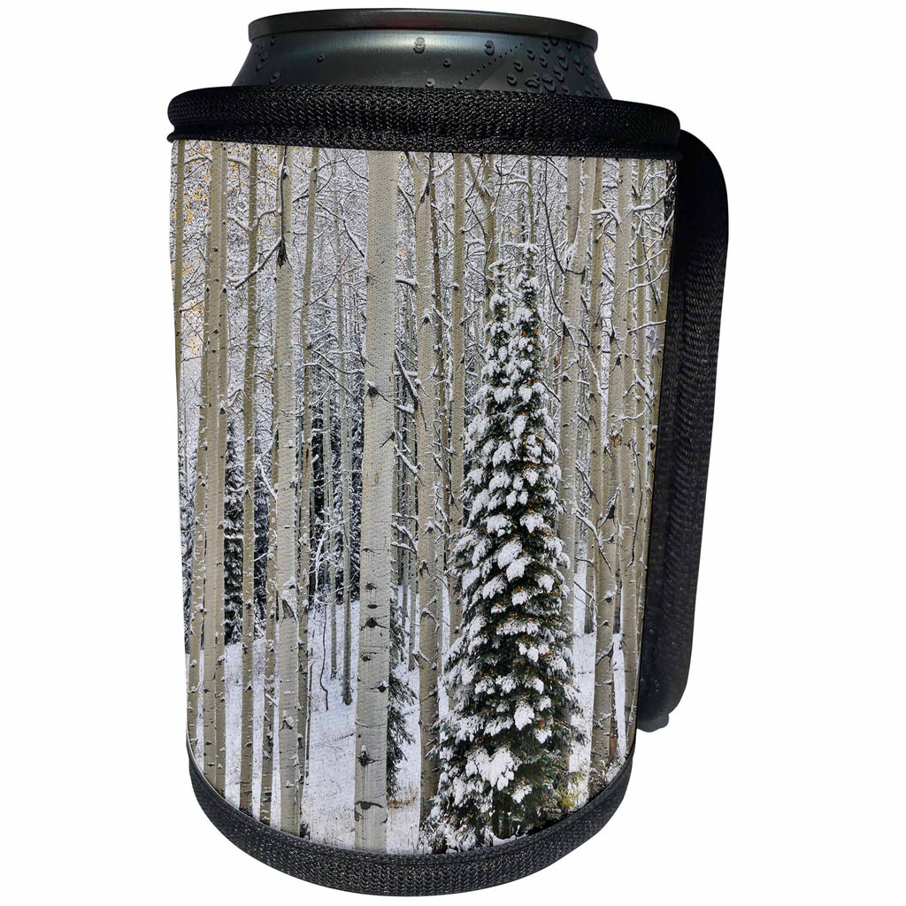 3dRose Danita Delimont - Forests - Aspen grove with autumn snows, Keebler Pass, Rocky Mountains, Colorado - Can Cooler Bottle Wrap (cc_278820)