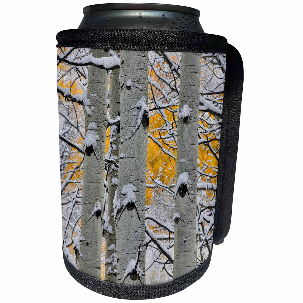 3dRose Danita Delimont - Forests - Autumn aspens with snows, Keebler Pass, Rocky Mountains, Colorado - Can Cooler Bottle Wrap (cc_278822)