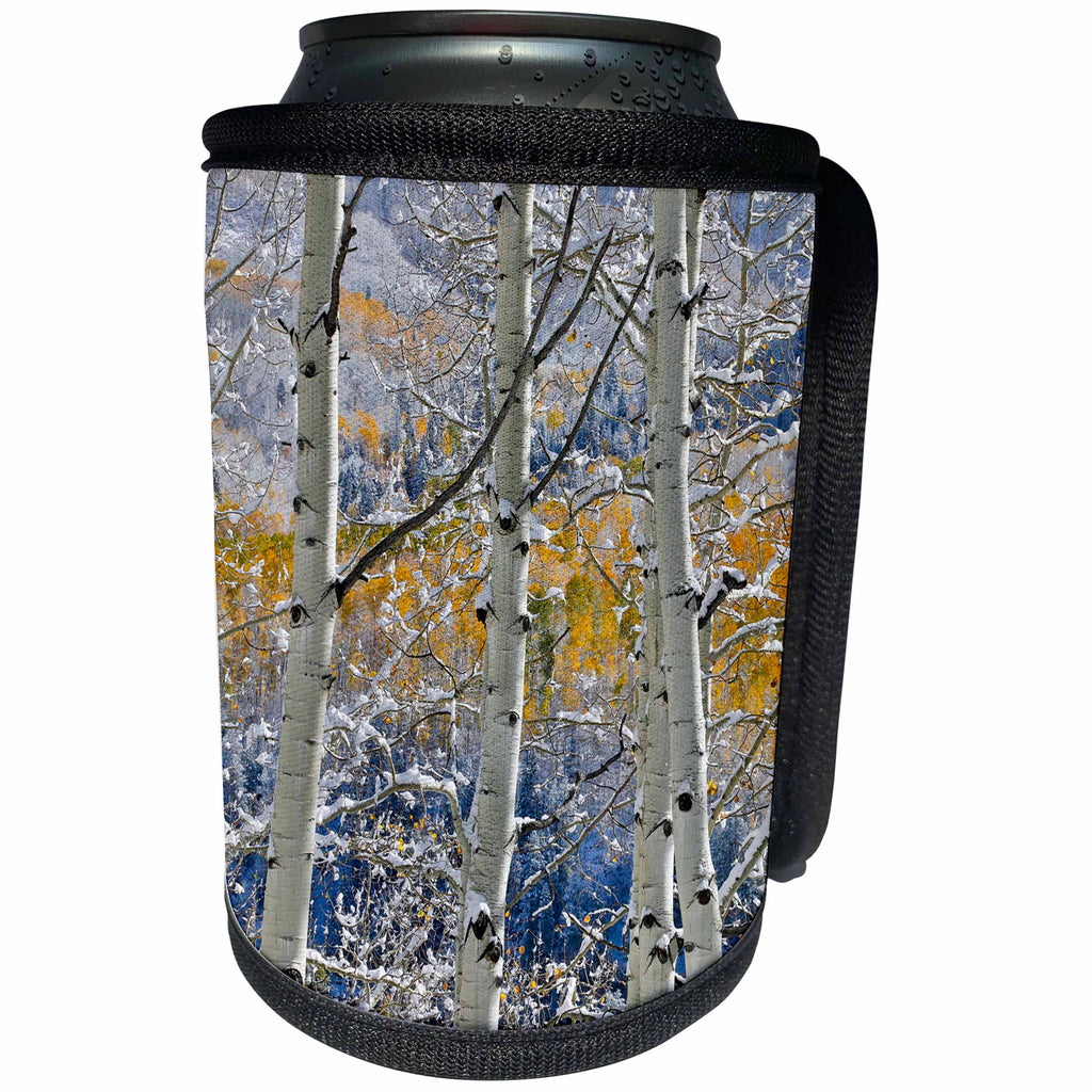 3dRose Danita Delimont - Forests - Aspen grove in autumn, Keebler Pass, Rocky Mountains, Colorado - Can Cooler Bottle Wrap (cc_278824)