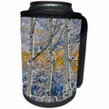 3dRose Danita Delimont - Forests - Aspen grove in autumn, Keebler Pass, Rocky Mountains, Colorado - Can Cooler Bottle Wrap (cc_278824)