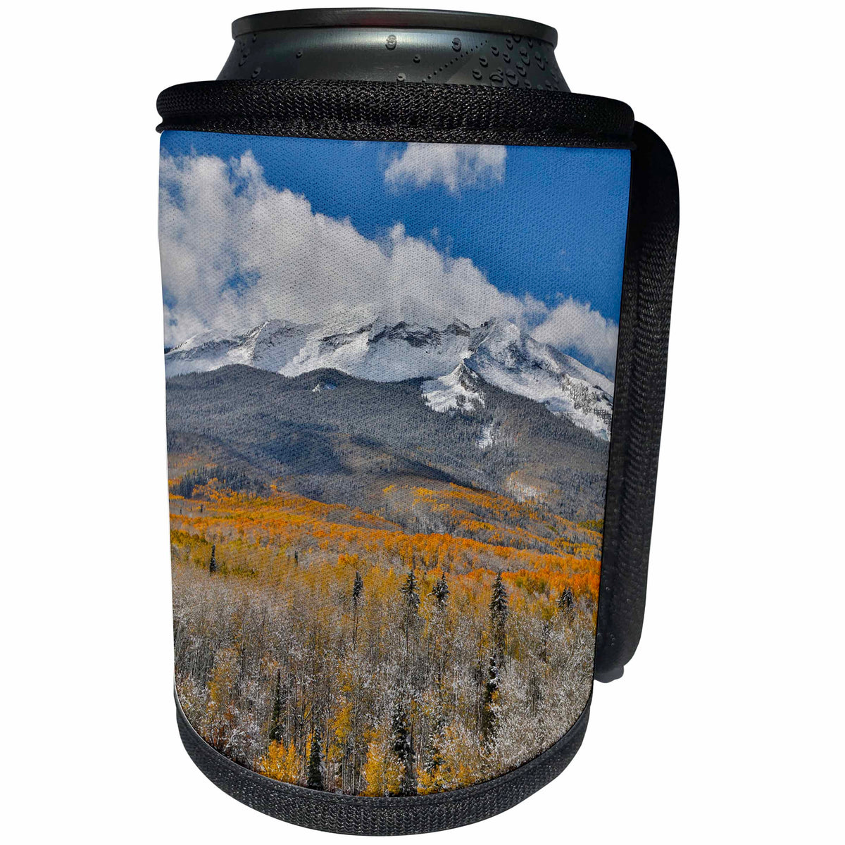 3dRose Danita Delimont - Forests - Autumn Aspens and snow on Keebler Pass, Rocky Mountains, Colorado - Can Cooler Bottle Wrap (cc_278827)