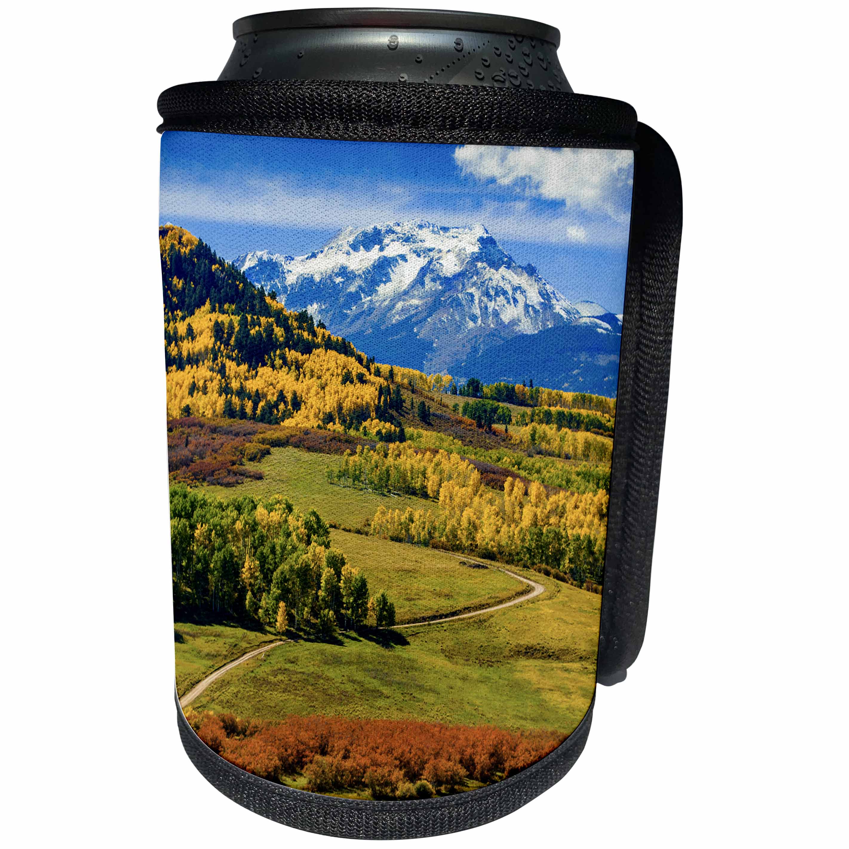 3dRose Danita Delimont - Colorado - USA, Colorado, fall colors, vista - Can Cooler Bottle Wrap (cc_278829)