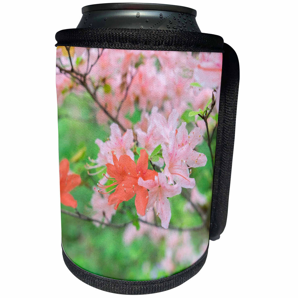 3dRose Danita Delimont - Flowers - Azaleas in bloom, Usa - Can Cooler Bottle Wrap (cc_278843)