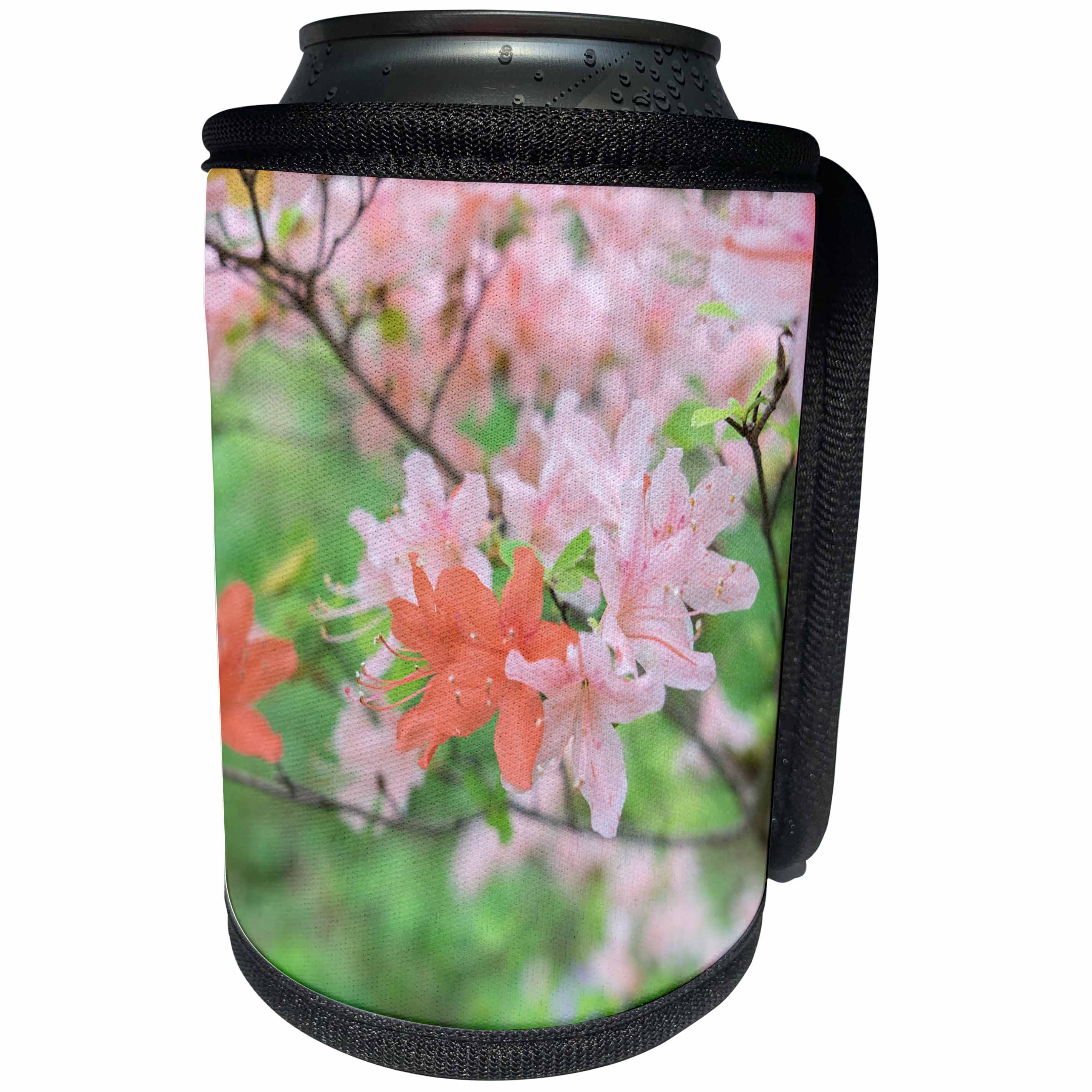 3dRose Danita Delimont - Flowers - Azaleas in bloom, Usa - Can Cooler Bottle Wrap (cc_278843)