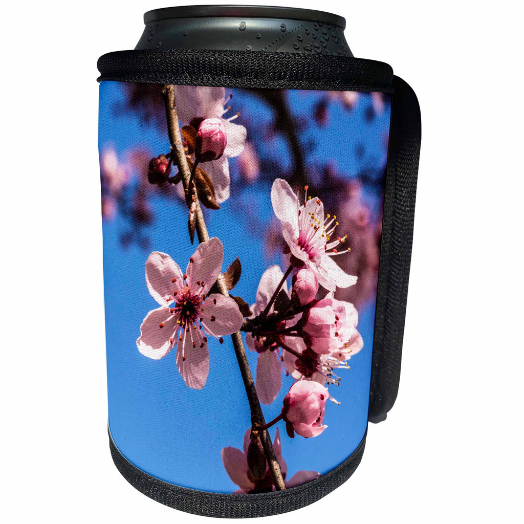 3dRose Danita Delimont - Flowers - Washington, DC. Pink Cherry Blossoms on branches - Can Cooler Bottle Wrap (cc_278851)