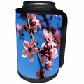 3dRose Danita Delimont - Flowers - Washington, DC. Pink Cherry Blossoms on branches - Can Cooler Bottle Wrap (cc_278851)