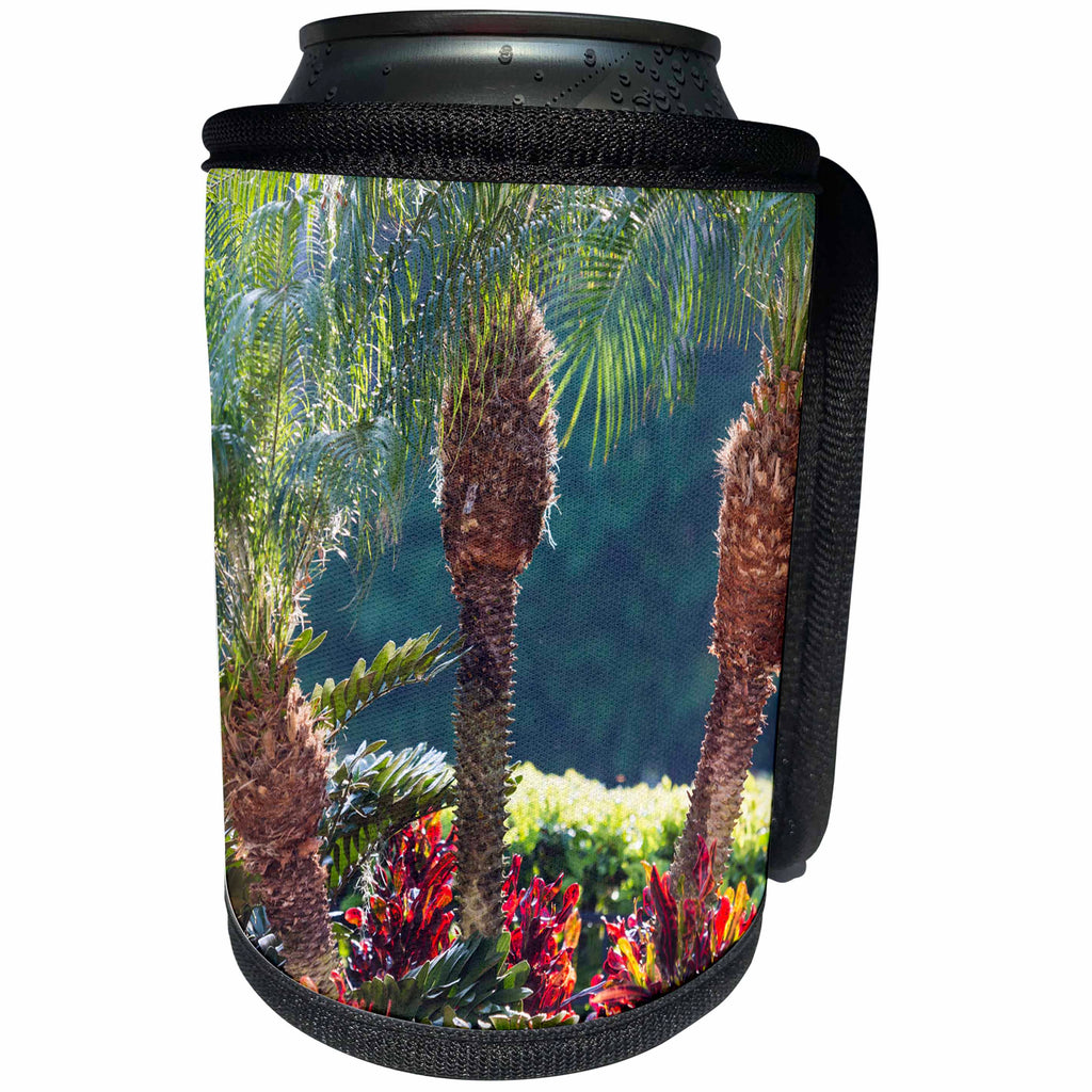 3dRose Danita Delimont - Gardens - USA, Florida, Celebration, Palm Trees - Can Cooler Bottle Wrap (cc_278853)