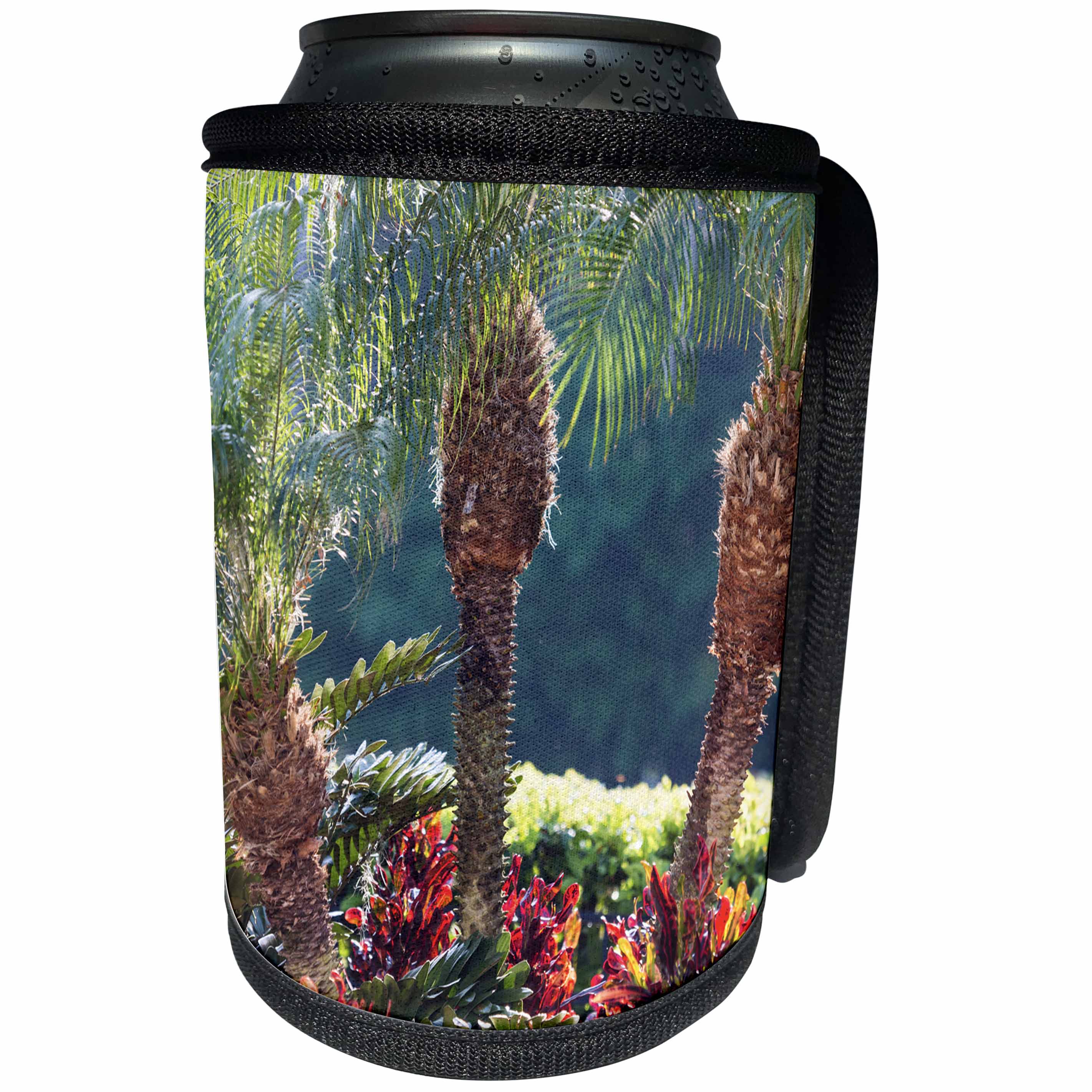3dRose Danita Delimont - Gardens - USA, Florida, Celebration, Palm Trees - Can Cooler Bottle Wrap (cc_278853)