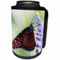 3dRose Danita Delimont - Butterflies - USA, Florida, Celebration, Florida Viceroy Butterfly - Can Cooler Bottle Wrap (cc_278854)