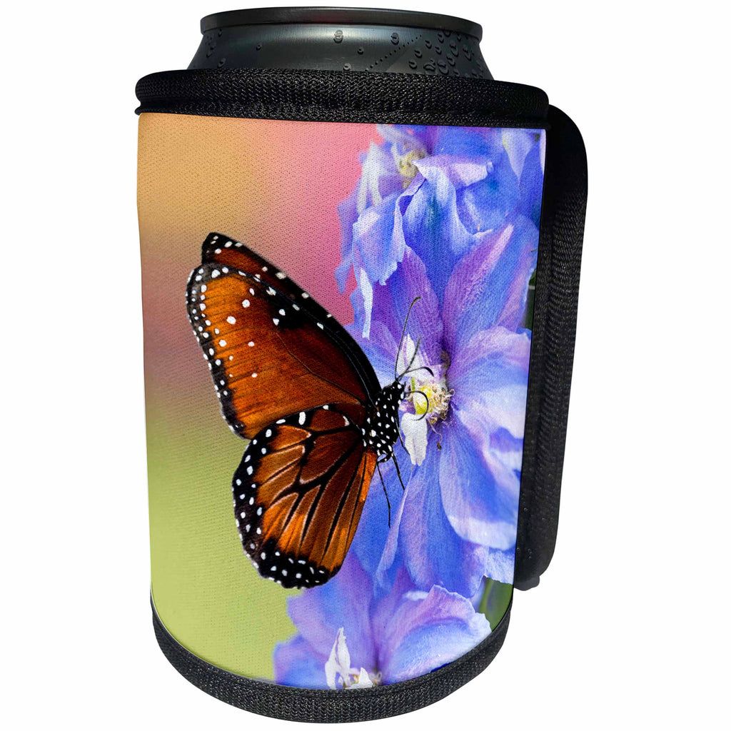 3dRose Danita Delimont - Butterflies - Florida, Celebration, Viceroy Butterfly drinking at a flower. - Can Cooler Bottle Wrap (cc_278860)