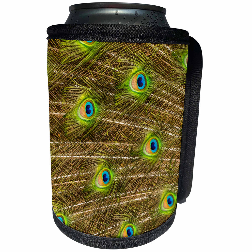 3dRose Danita Delimont - Patterns - Florida, St. Augustine, Tail feathers of male peacock. - Can Cooler Bottle Wrap (cc_278864)