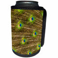 3dRose Danita Delimont - Patterns - Florida, St. Augustine, Tail feathers of male peacock. - Can Cooler Bottle Wrap (cc_278864)