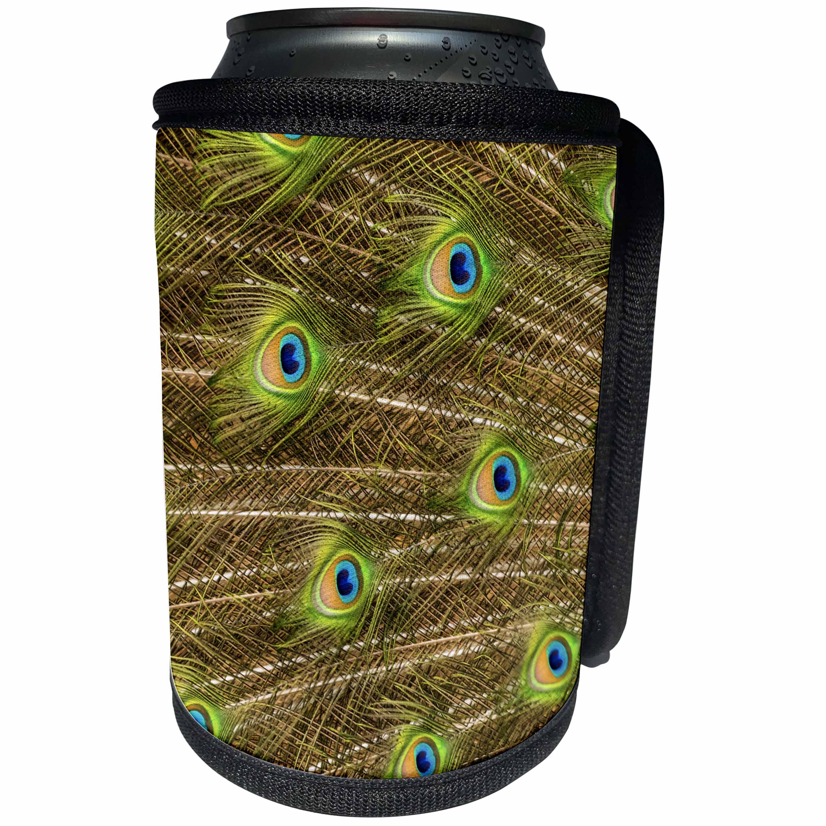 3dRose Danita Delimont - Patterns - Florida, St. Augustine, Tail feathers of male peacock. - Can Cooler Bottle Wrap (cc_278864)