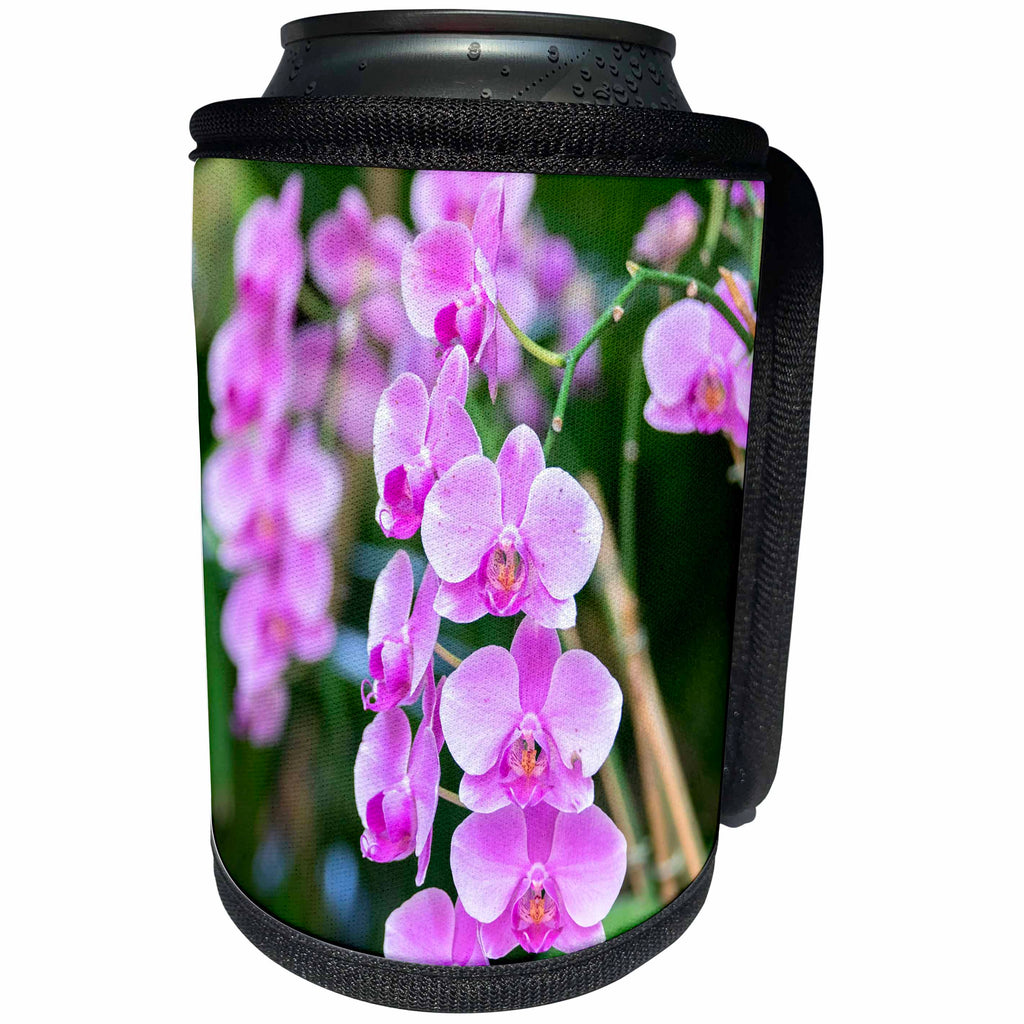 3dRose Danita Delimont - Flowers - Orchid portrait, USA - Can Cooler Bottle Wrap (cc_278871)