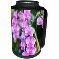 3dRose Danita Delimont - Flowers - Orchid portrait, USA - Can Cooler Bottle Wrap (cc_278871)