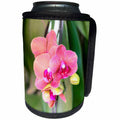 3dRose Danita Delimont - Flowers - Orchid flowers, USA - Can Cooler Bottle Wrap (cc_278872)