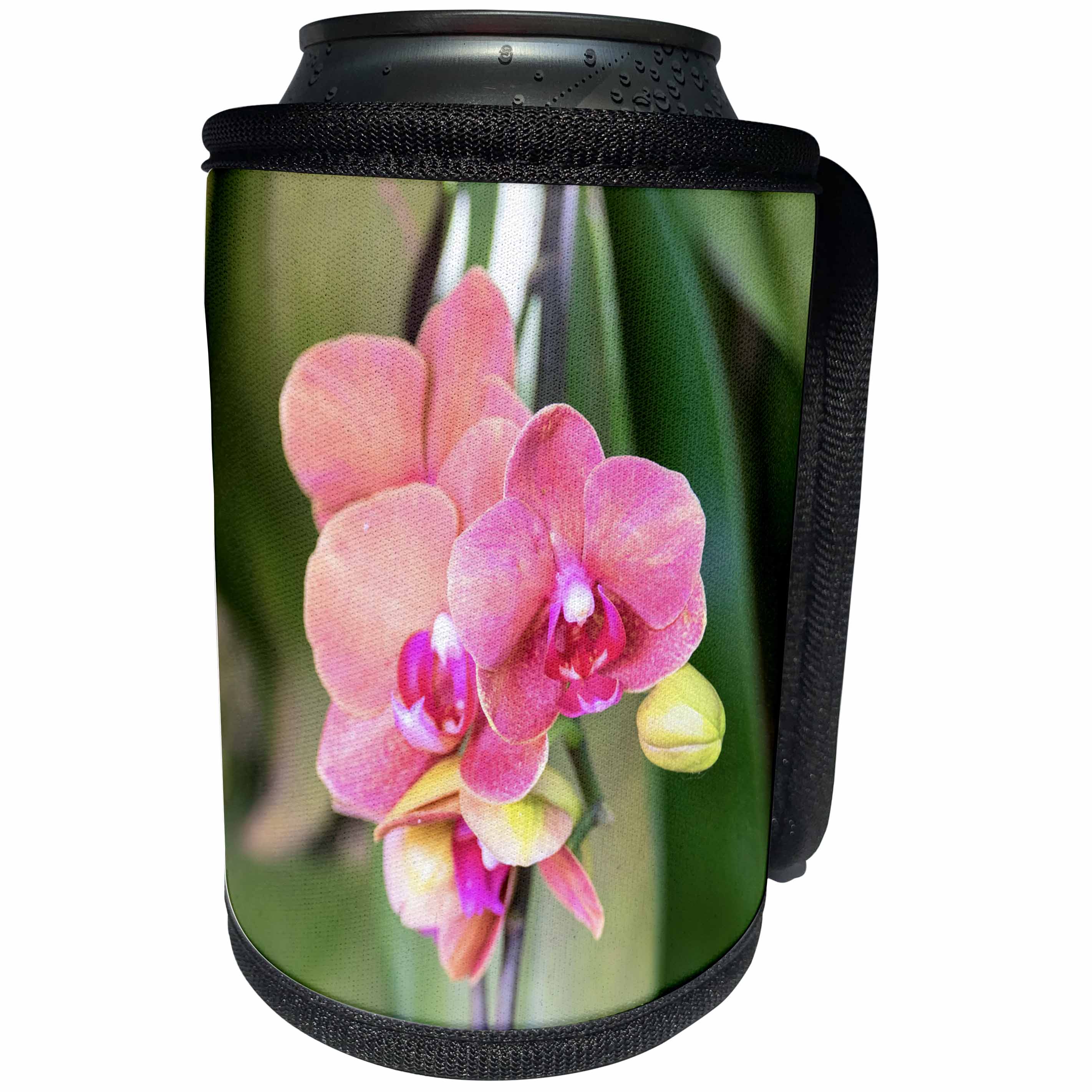 3dRose Danita Delimont - Flowers - Orchid flowers, USA - Can Cooler Bottle Wrap (cc_278872)