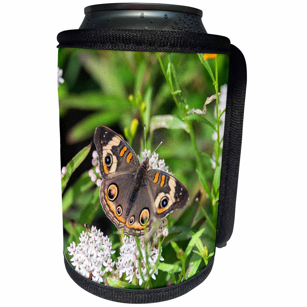 3dRose Danita Delimont - Hummingbirds - Common Buckeye butterfly, garden, USA - Can Cooler Bottle Wrap (cc_278875)
