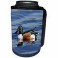 3dRose Danita Delimont - Ducks - Northern Shoveler, Anas clypeata, Merritt Island NWR, Florida - Can Cooler Bottle Wrap (cc_278881)
