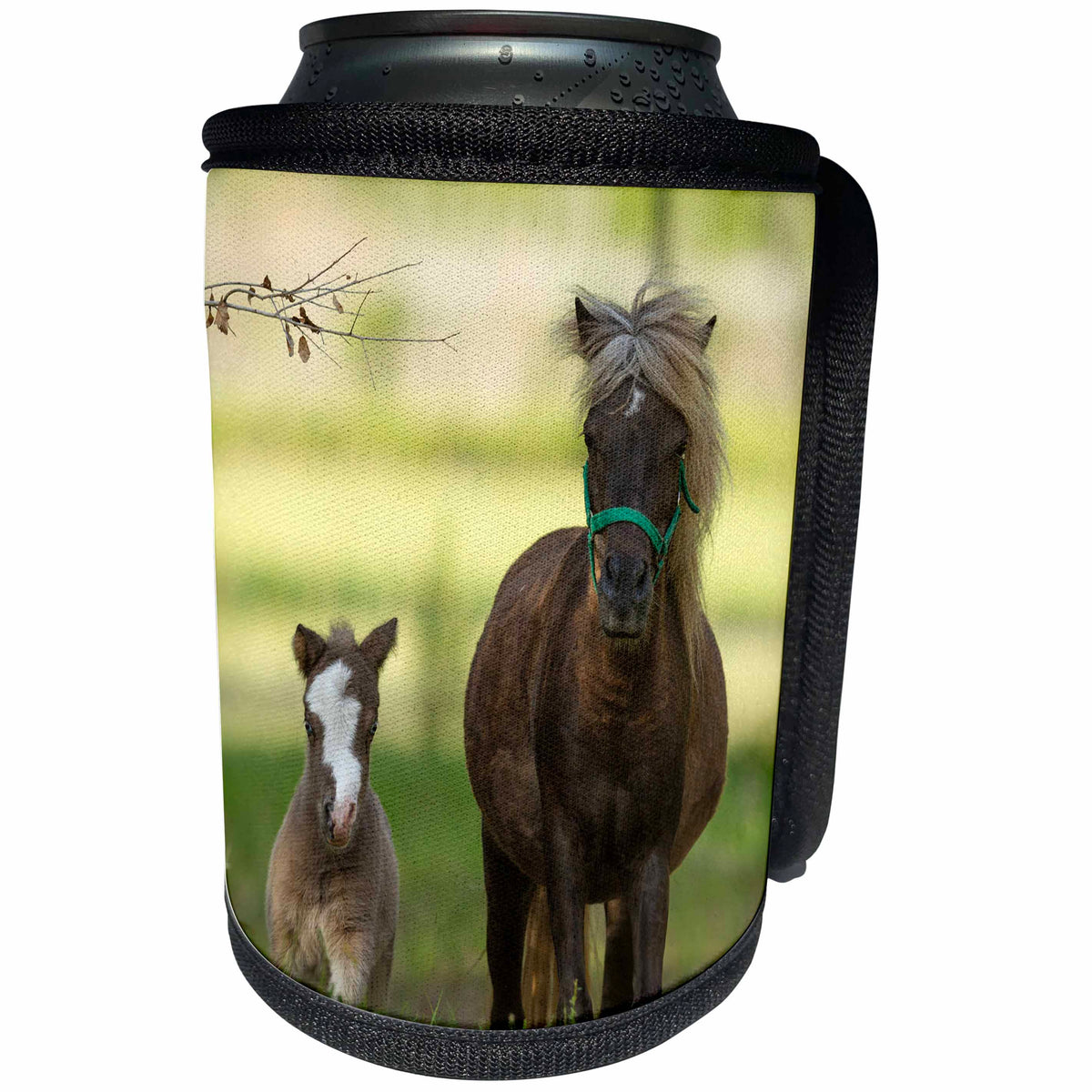 3dRose Danita Delimont - Horses - Miniature horse family - Can Cooler Bottle Wrap (cc_278883)