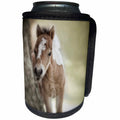 3dRose Danita Delimont - Baby animals - Baby miniature American Paint Horse colt in a pasture. - Can Cooler Bottle Wrap (cc_278887)