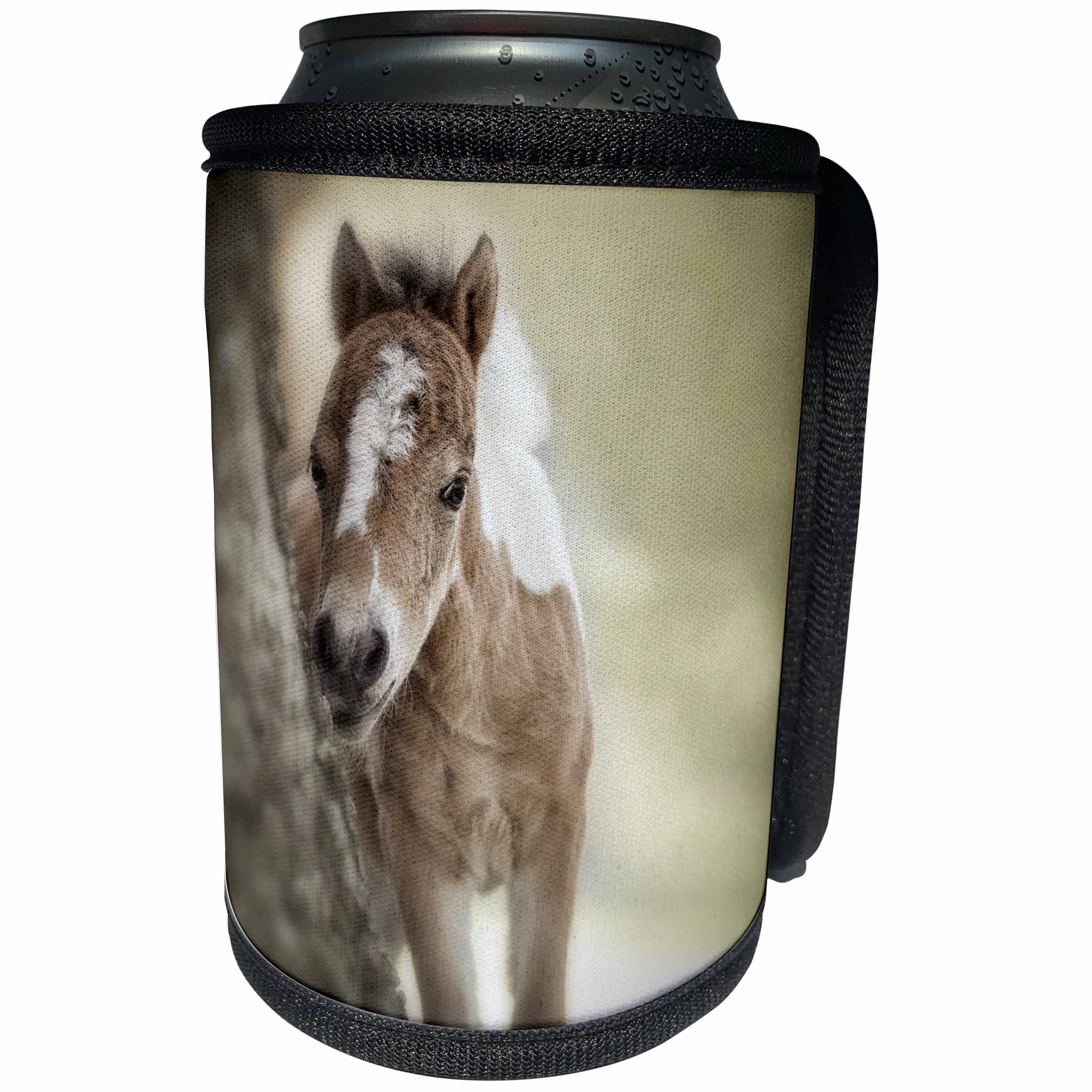3dRose Danita Delimont - Baby animals - Baby miniature American Paint Horse colt in a pasture. - Can Cooler Bottle Wrap (cc_278887)