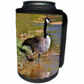 3dRose Danita Delimont - Birds - Canada Goose lakeside reflection, Georgia - Can Cooler Bottle Wrap (cc_278892)