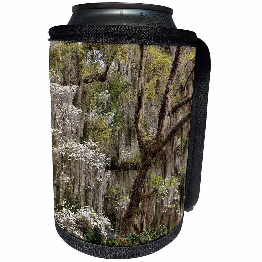 3dRose Danita Delimont - Forests - Spanish Moss on flowering Dogwood and oak trees, Savannah, Georgia - Can Cooler Bottle Wrap (cc_278894)
