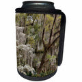 3dRose Danita Delimont - Forests - Spanish Moss on flowering Dogwood and oak trees, Savannah, Georgia - Can Cooler Bottle Wrap (cc_278894)