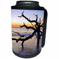 3dRose Danita Delimont - Oceans - USA, Georgia. Jekyll Island, tree, ocean - Can Cooler Bottle Wrap (cc_278900)