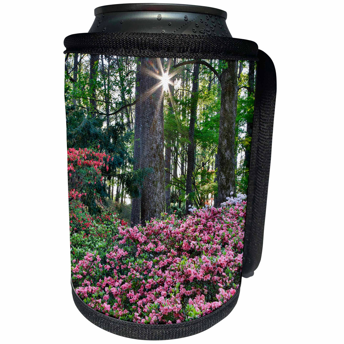 3dRose Danita Delimont - Gardens - USA, Georgia, Sunburst and Azaleas - Can Cooler Bottle Wrap (cc_278901)