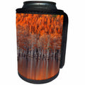 3dRose Danita Delimont - Autumn - USA, Georgia, Twin City, Cypress trees in the fall at sunset. - Can Cooler Bottle Wrap (cc_278906)