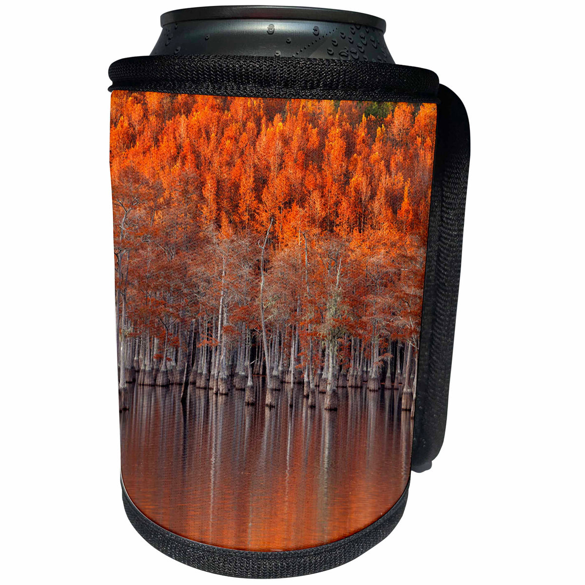 3dRose Danita Delimont - Autumn - USA, Georgia, Twin City, Cypress trees in the fall at sunset. - Can Cooler Bottle Wrap (cc_278906)