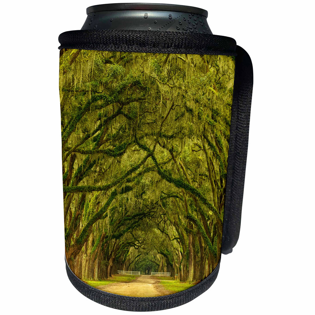 3dRose Danita Delimont - Roads - USA, Georgia, Savannah. Mile long oak drive. - Can Cooler Bottle Wrap (cc_278908)