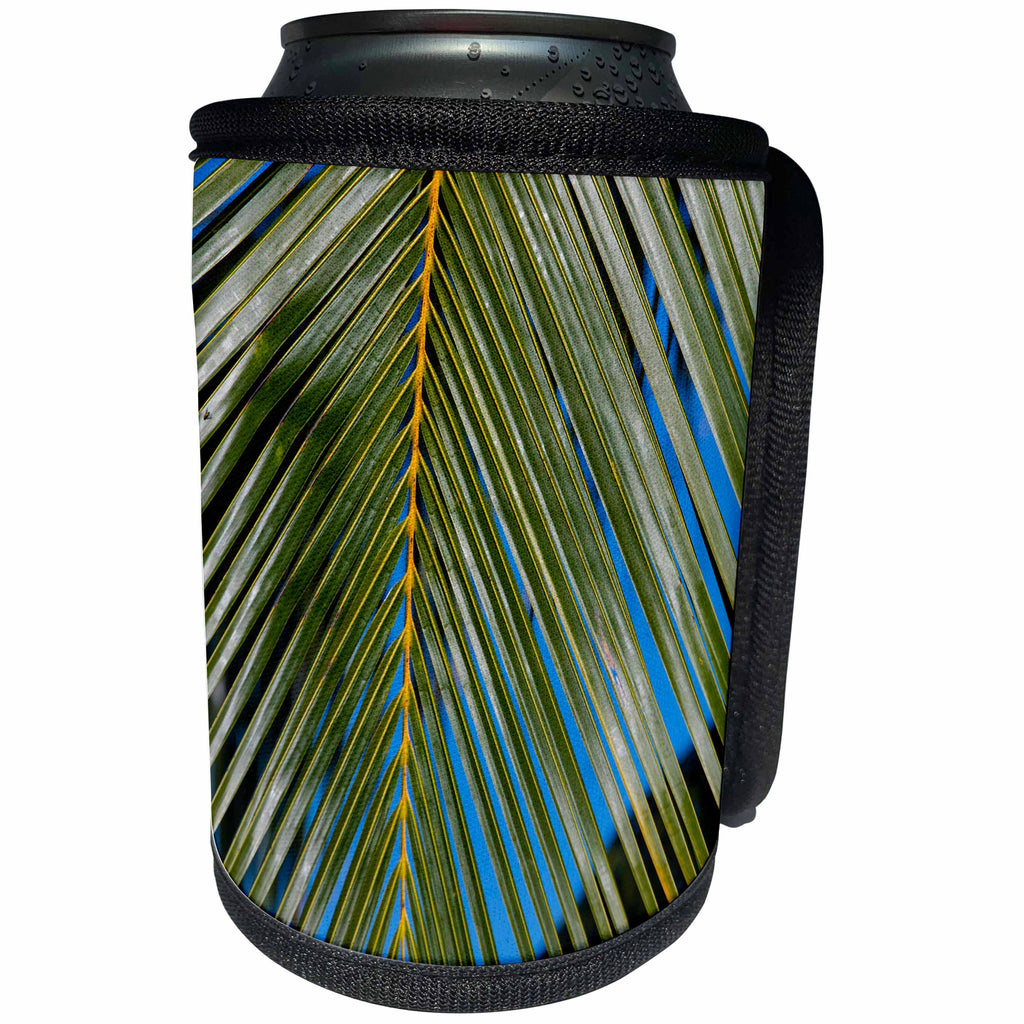 3dRose Danita Delimont - Patterns - Coconut Palm Frond, Hawaii - Can Cooler Bottle Wrap (cc_278917)