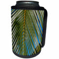 3dRose Danita Delimont - Patterns - Coconut Palm Frond, Hawaii - Can Cooler Bottle Wrap (cc_278917)