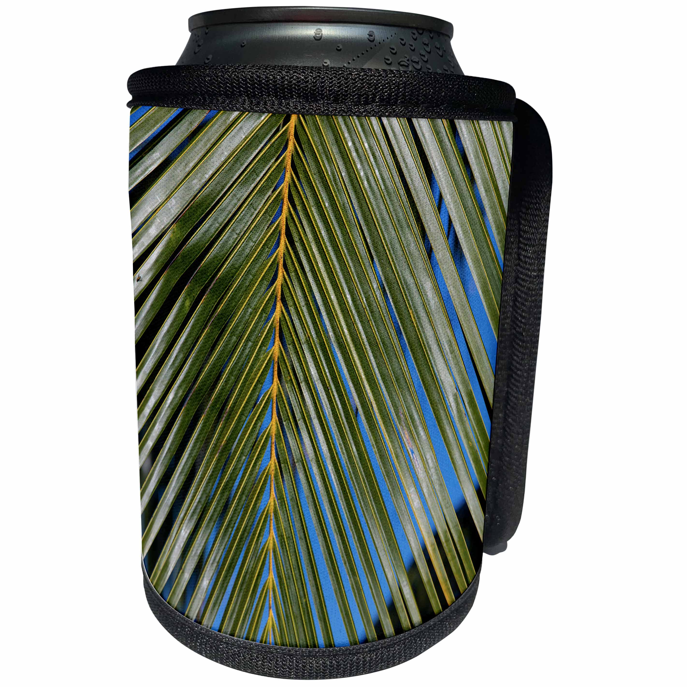 3dRose Danita Delimont - Patterns - Coconut Palm Frond, Hawaii - Can Cooler Bottle Wrap (cc_278917)