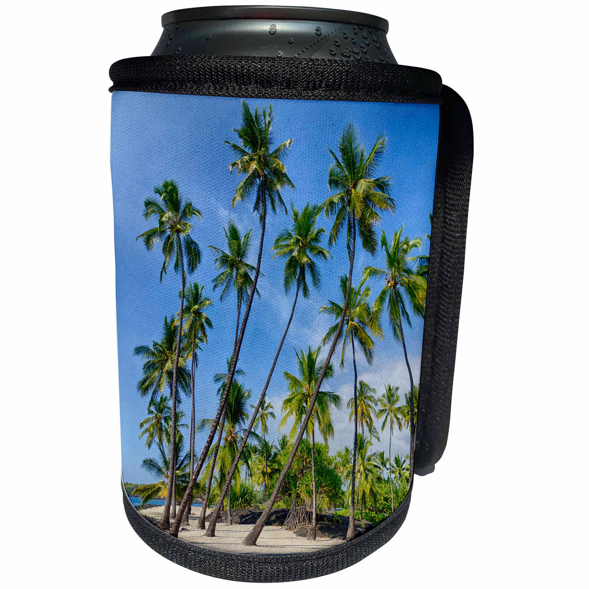 3dRose Danita Delimont - Beaches - Hawaii, Big Island. Palm trees on the beach at Puuhonua o Honaunau. - Can Cooler Bottle Wrap (cc_278929)