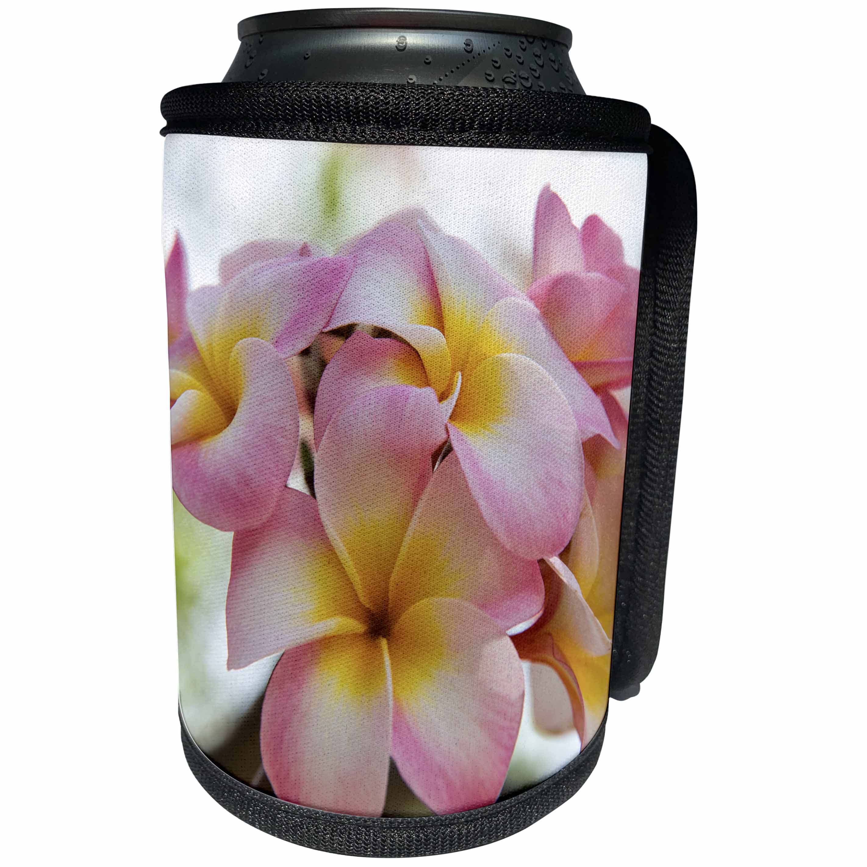 3dRose Danita Delimont - Flowers - USA, Hawaii, Oahu, Plumeria flower in a garden. - Can Cooler Bottle Wrap (cc_278961)