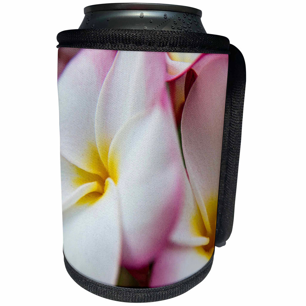 3dRose Danita Delimont - Flowers - USA, Hawaii, Oahu, Close up of pink Plumeria flower - Can Cooler Bottle Wrap (cc_278962)