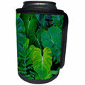 3dRose Danita Delimont - Nature - USA, Hawaii, Oahu, Tropical green philodendrons. - Can Cooler Bottle Wrap (cc_278963)